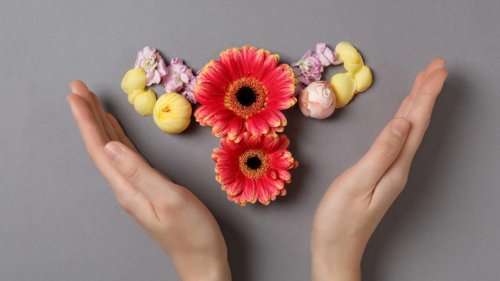Manos sosteniendo flores que simbolizan la donación de óvulos, un acto altruista que ayuda a mujeres a cumplir su sueño de ser madres.