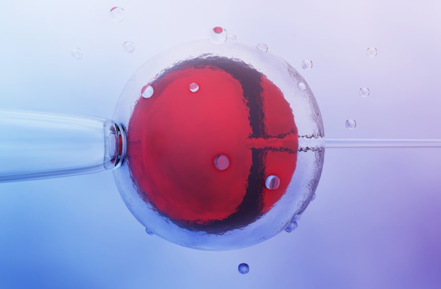 Representación gráfica de una célula con un fondo abstracto y burbujas en tonos rojos y azules.