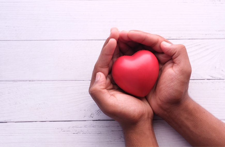 Manos sujetando un corazón rojo, simbolizando el apoyo y la esperanza en tratamientos de ovodonación y fertilidad.